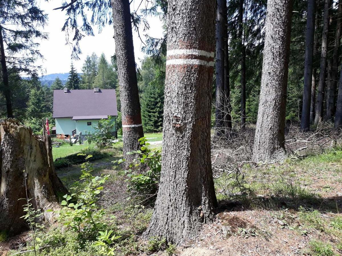 Chata Lipno Lipno nad Vltavou Extérieur photo